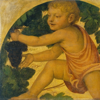 Putto picking Grapes
