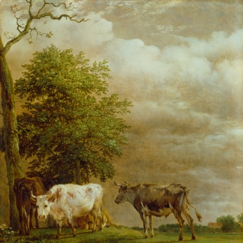 Cattle in Stormy Weather