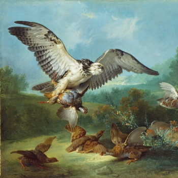 Hawk attacking Partridges and a Rabbit