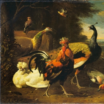 A Cockerel with other Birds