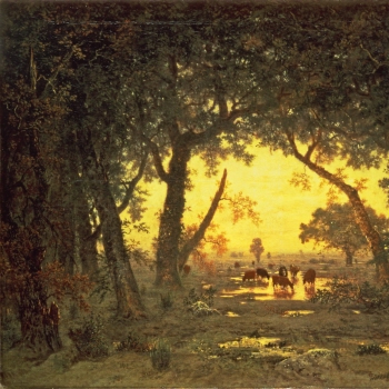 The Forest of Fontainebleau: Morning