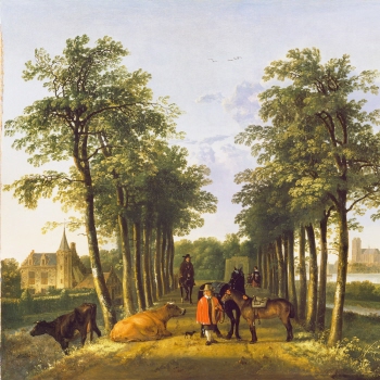 The Avenue at Meerdervoort