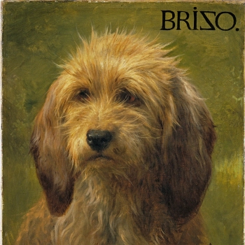 Brizo, A Shepherd's Dog