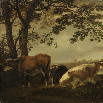 Cattle on a River Bank