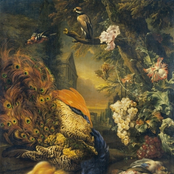 Dead Peacock and Game