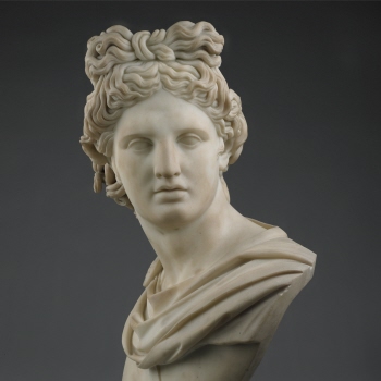 Bust of the Apollo Belvedere