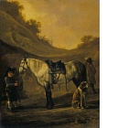Boy Holding a Horse
